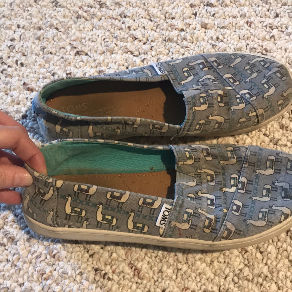 Lama Toms size 6